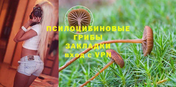 2c-b Медвежьегорск