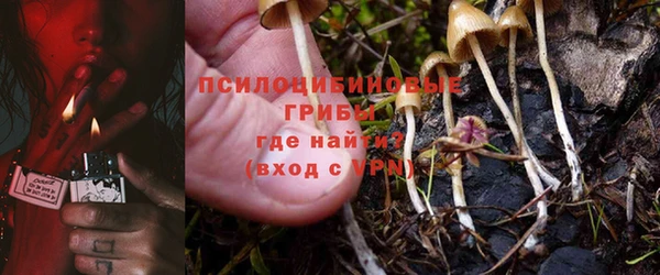 2c-b Медвежьегорск