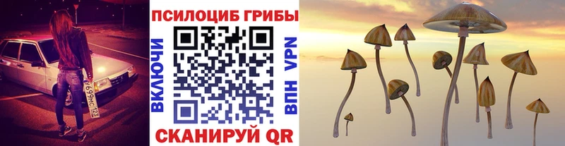 ОМГ ОМГ как войти  Сольвычегодск  Псилоцибиновые грибы MAGIC MUSHROOMS  купить закладку 
